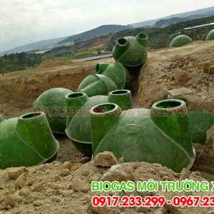 Alternative view of Hầm bể Biogas Composite đường kính 2,9m
