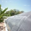 Biogas bạt nhựa HDPE