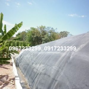 Biogas bạt nhựa HDPE