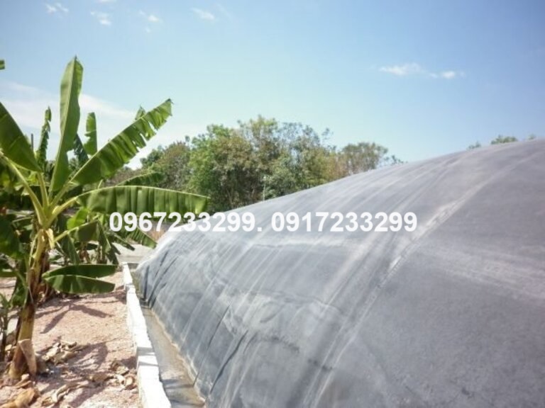 Biogas bạt nhựa HDPE